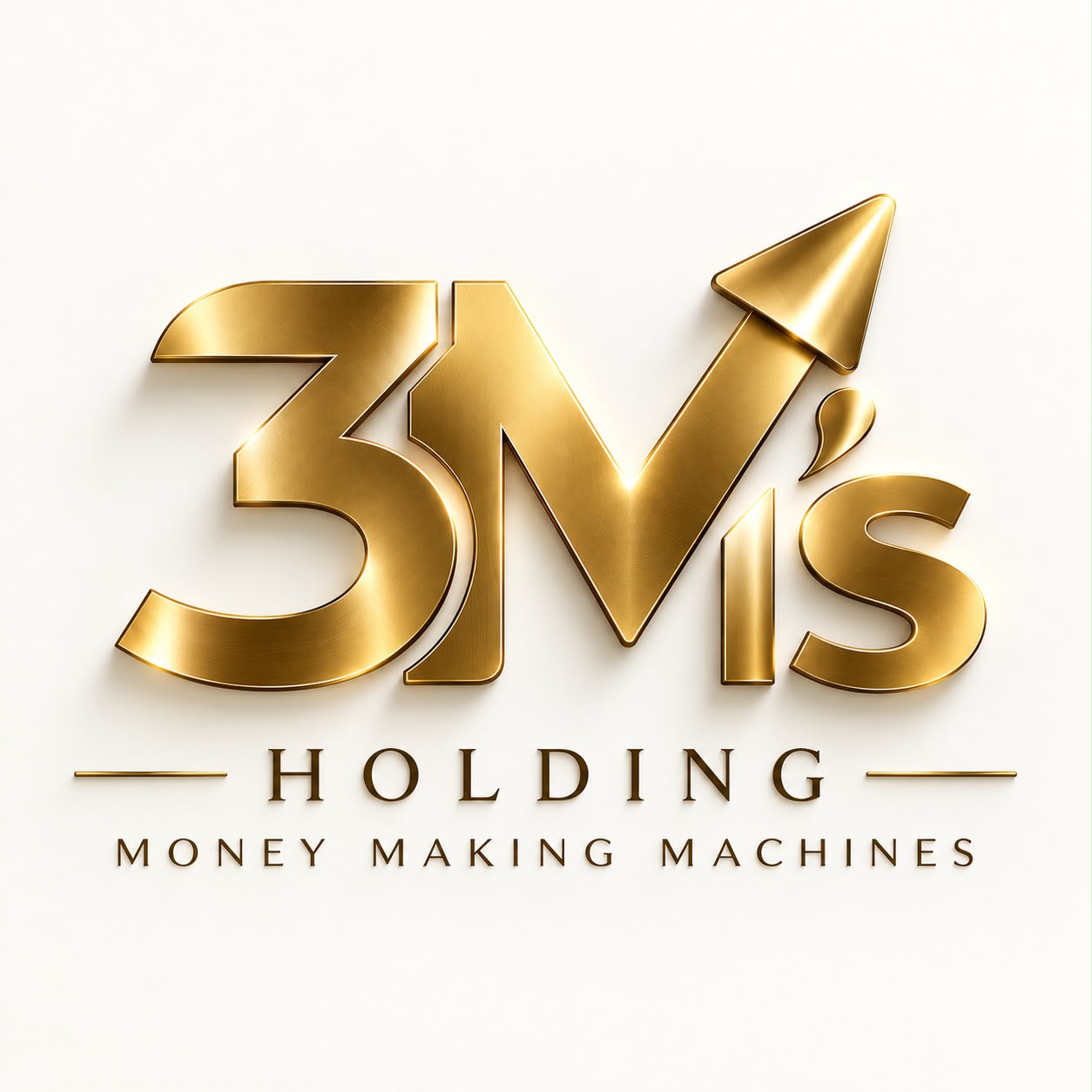 3Ms Holding